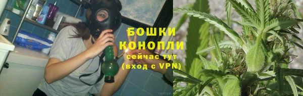 дмт Каменногорск