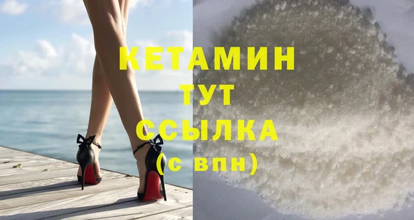 прущие грибы Каменка