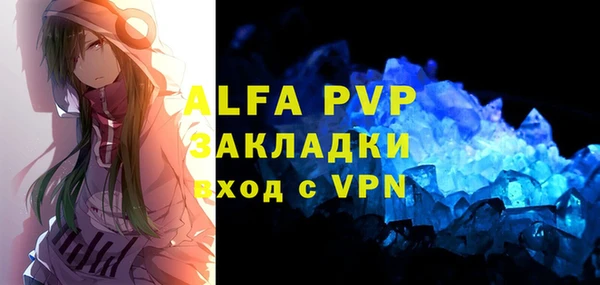 прущие грибы Каменка