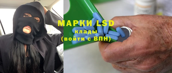 прущие грибы Каменка