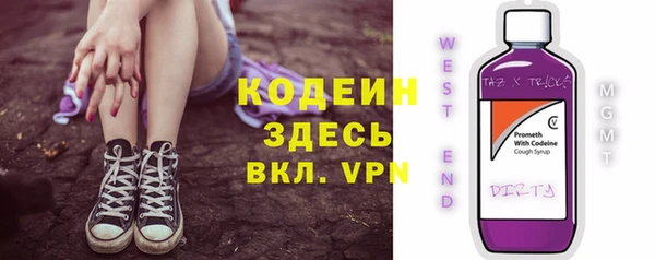 прущие грибы Каменка