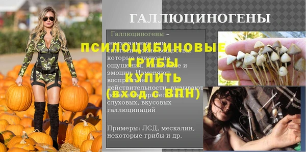 прущие грибы Каменка