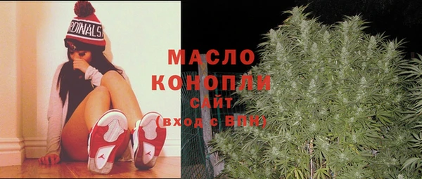дмт Каменногорск