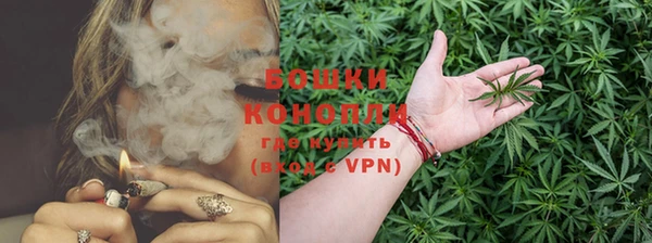 дмт Каменногорск