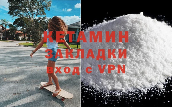 прущие грибы Каменка