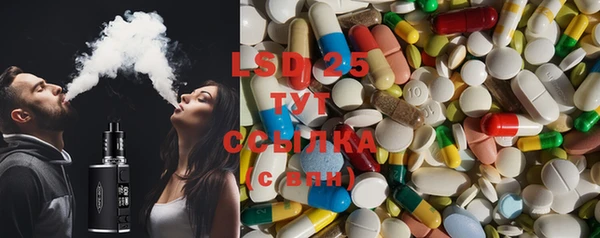 прущие грибы Каменка