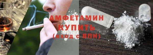 прущие грибы Каменка