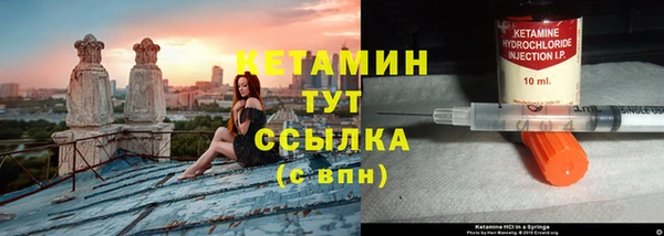 прущие грибы Каменка