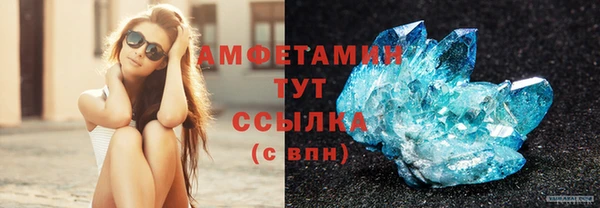 прущие грибы Каменка