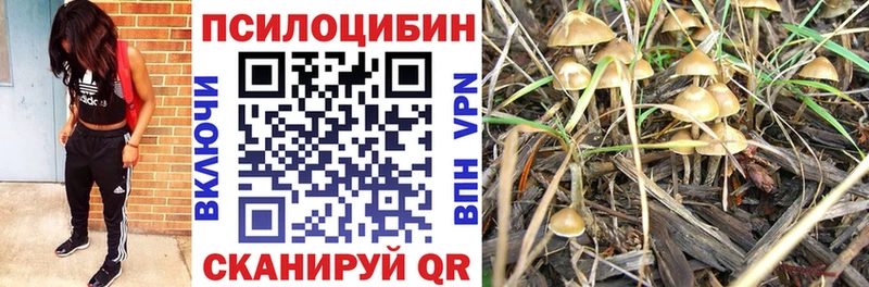 Псилоцибиновые грибы ЛСД  Оренбург 