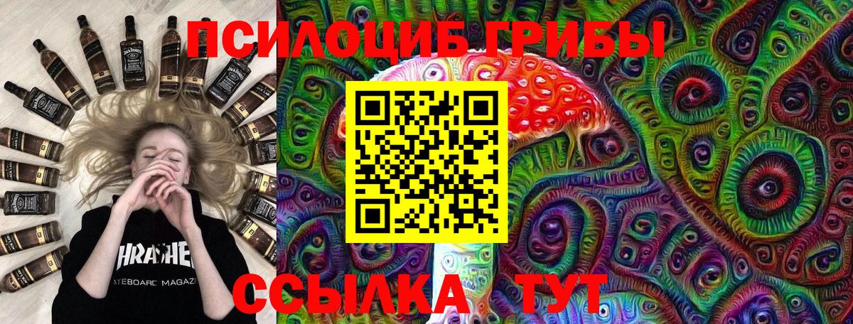 Псилоцибиновые грибы Psilocybe  Вход с VPN  Оренбург 